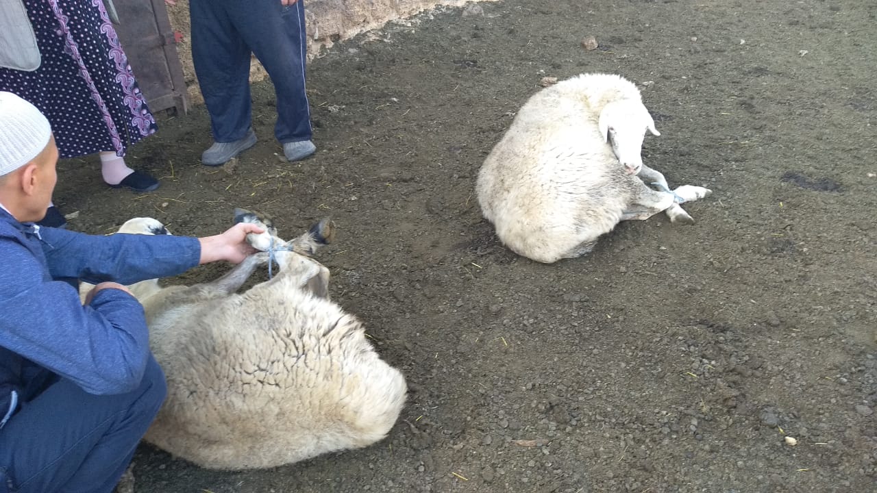 IMG 20180824 WA0006