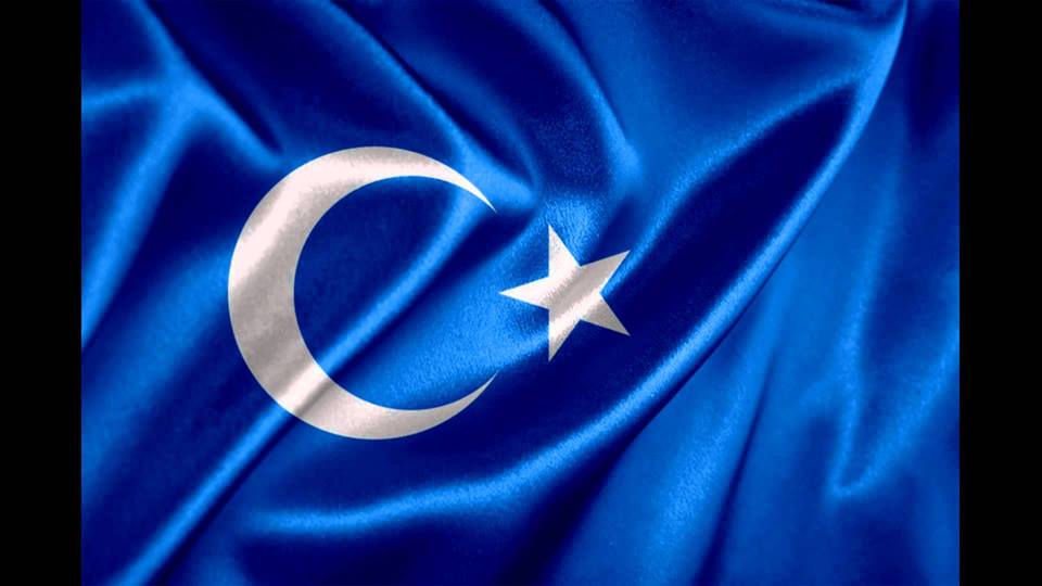 55575874 10156719036793283 7270133649230528512 n