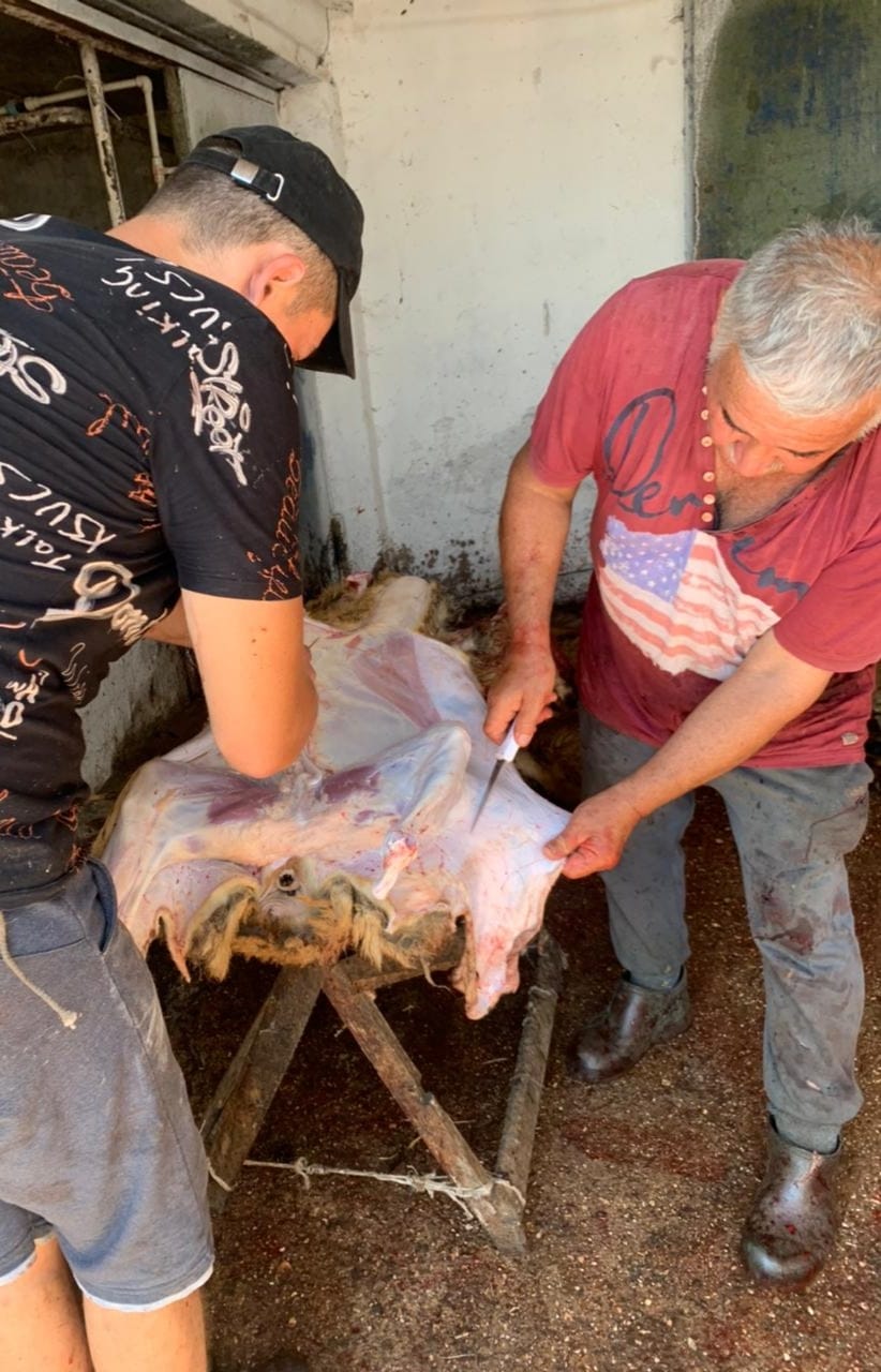 WhatsApp Image 2022 07 27 at 11.19.56 7