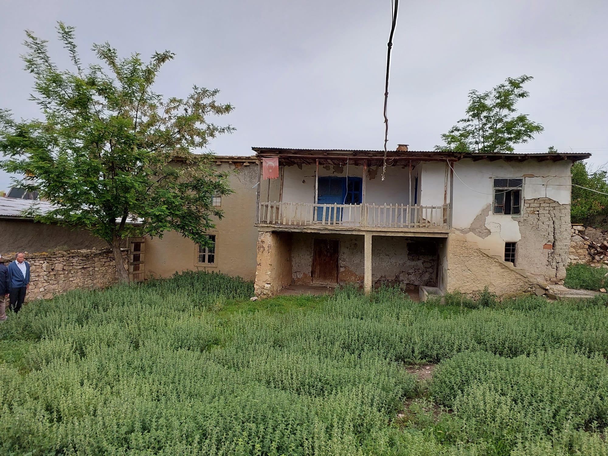 tatar evi